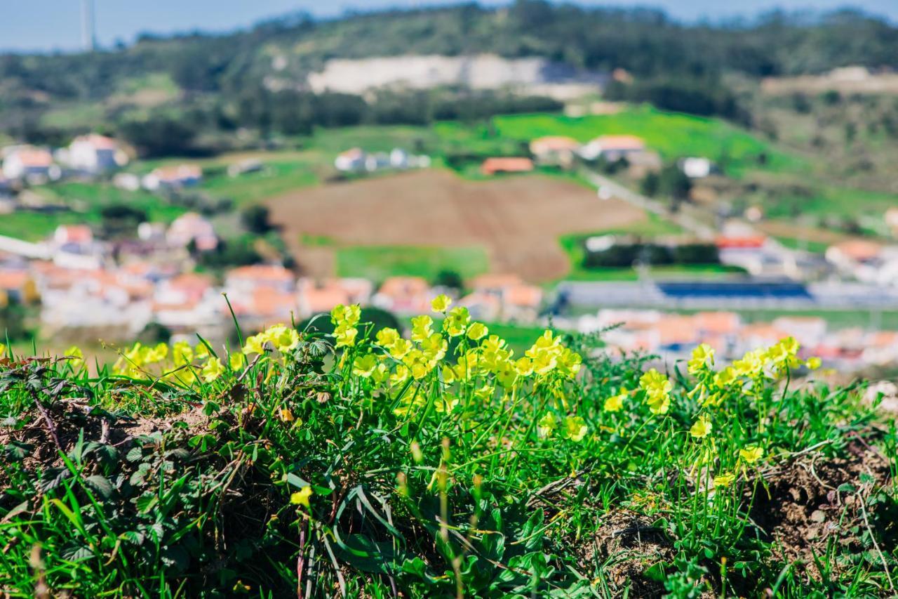 Traditional Portuguese Village House - Casa Martins No 52 Freiria Exterior foto